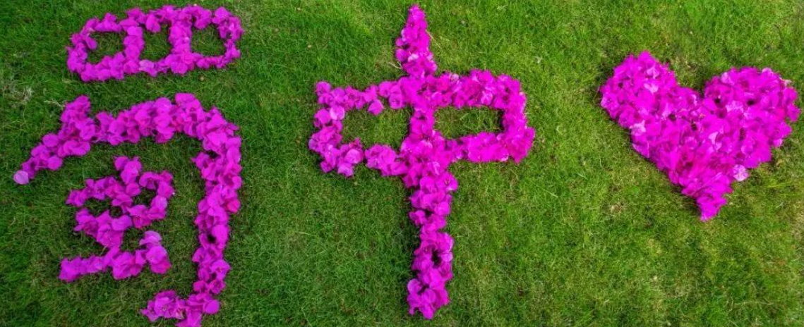 w88win优德(中国)官方网站